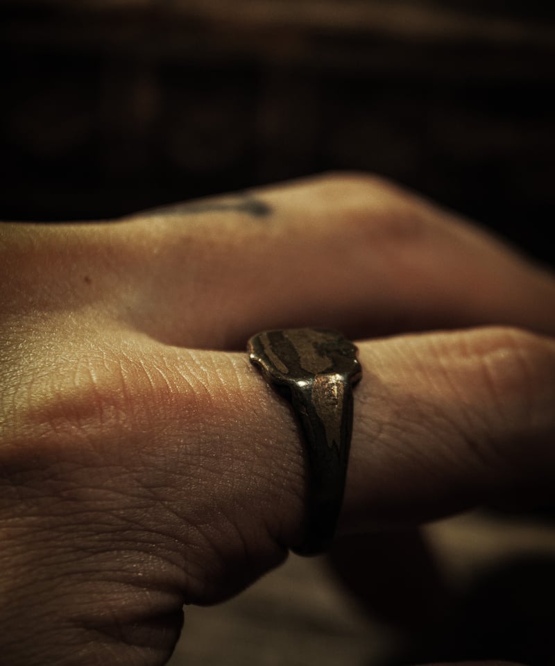 Emblem motif vintage brass signet ring | WAIOKIRY