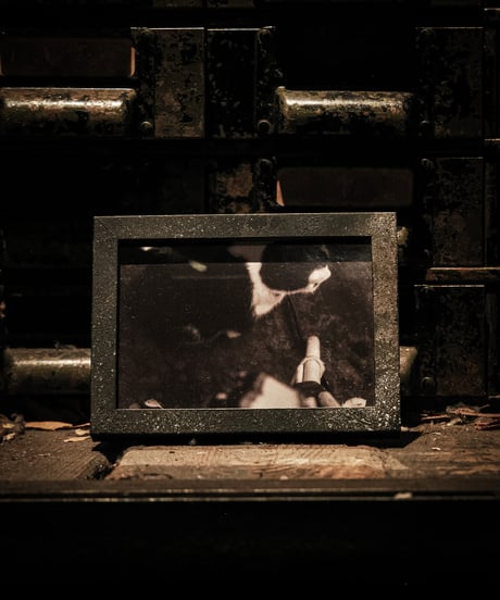 [Cat] 1950's Camera Photo in Paris + Frame SET