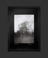 The Green-Wood Cemetery [Photo +Frame SET]