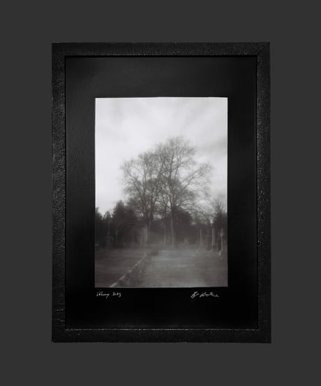 The Green-Wood Cemetery [Photo +Frame SET]