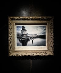 PARIS PHOTO [ After the Rain ]