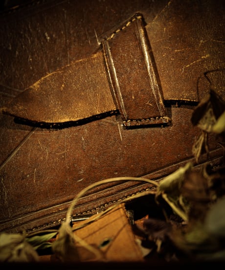 Leather vintage wallet & pass case