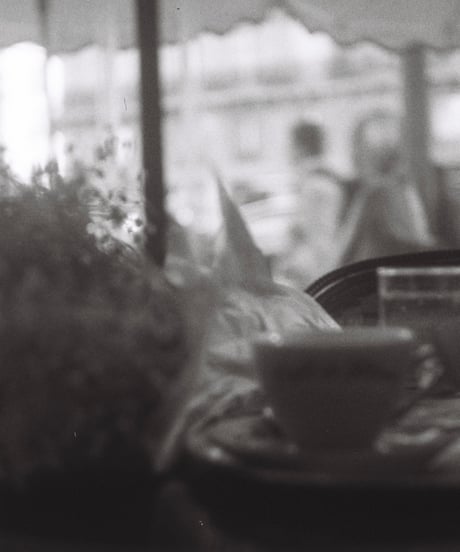 カフェ・ド・フロール [Photo +Frame SET]
