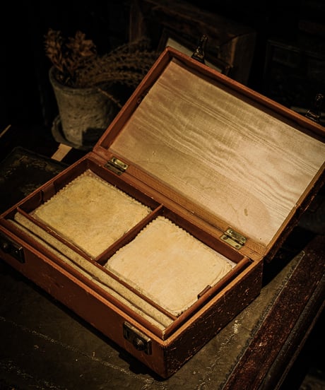 Vintage Jewelry Case / Display Box