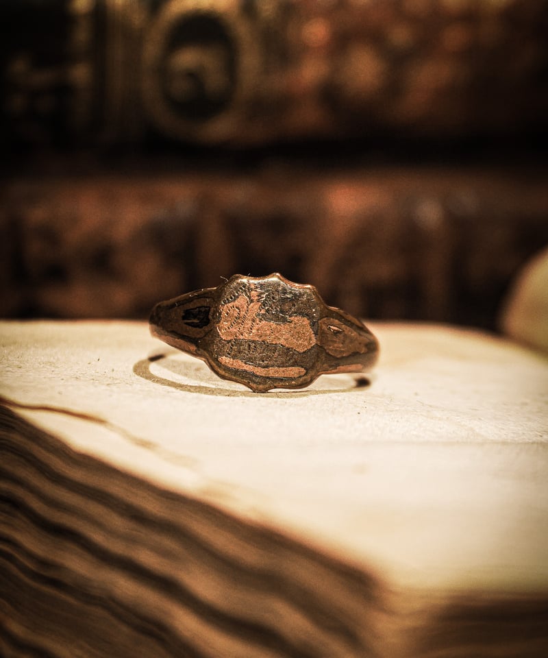 Emblem motif vintage brass signet ring | WAIOKIRY