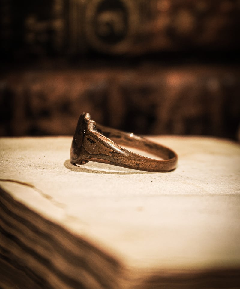 Emblem motif vintage brass signet ring | WAIOKIRY