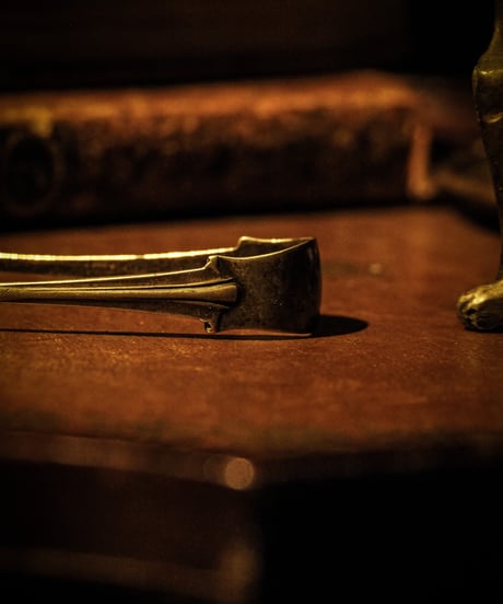 1926's Antique bird claw tongs : Silver
