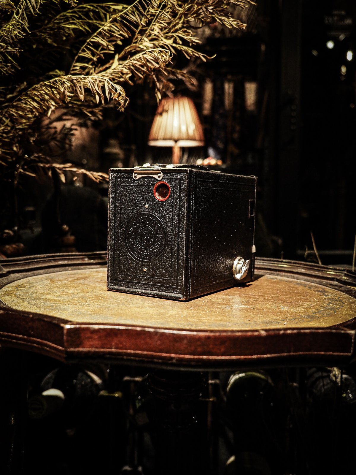 Kodak No.2 Brownie Model F ※ケース付き | WAIOKIRY Kodak No.2 Brownie Model F ※ケース付き | WAIOKIRY