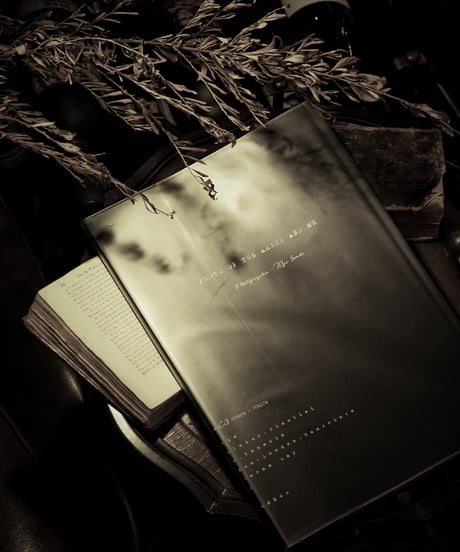 PHOTO BOOK [PHOTO OF THE ARGUS AND ME] P128 Size : A4