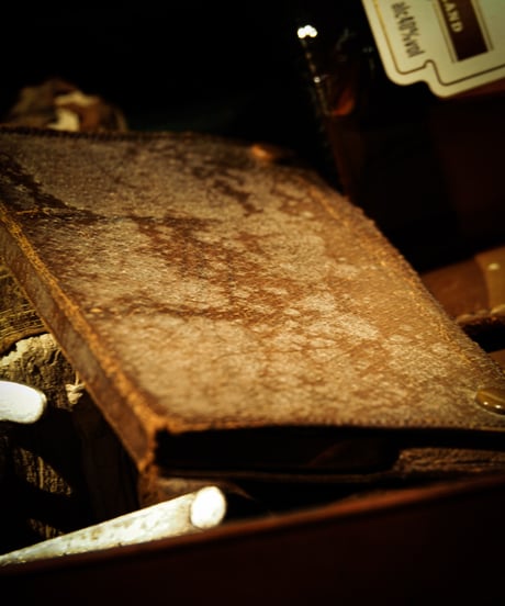 Leather (pig skin) Cigarette Case