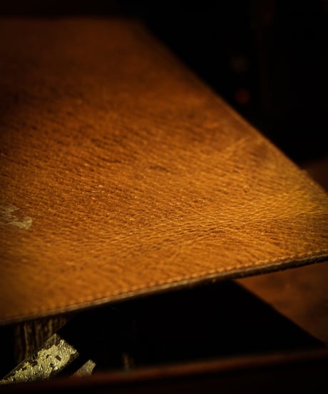 Leather (pig skin) vintage pass case