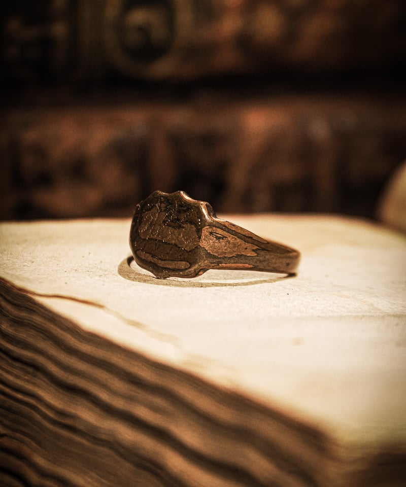 Emblem motif vintage brass signet ring | WAIOKIRY