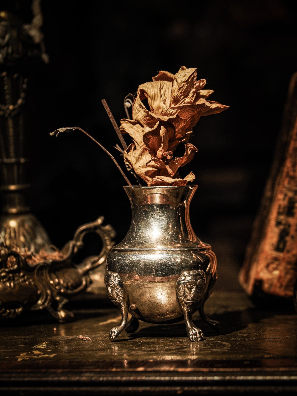 Victorian EPNS Silver Salt Pot with Lion Mask F