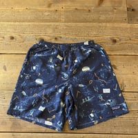 36周年限定モデル NEW PATAGONIA BAGGIES LONGS  7in