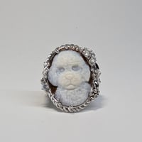 5R59 Silver(Rh) Ring (Toy Poodle Cameo)