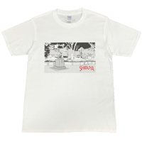 ﾊｲｶﾗｰ　Ｔｼｬﾂ(ﾊﾁ公前)