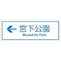 ﾊｲｶﾗｰ　ｽﾃｯｶｰ(宮下公園)