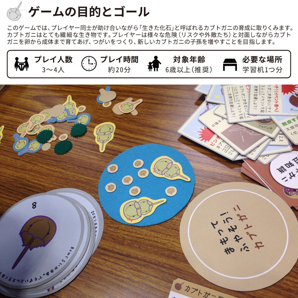 まもってふやそう!カブトガニ | まもってふやそう！カブトガニ