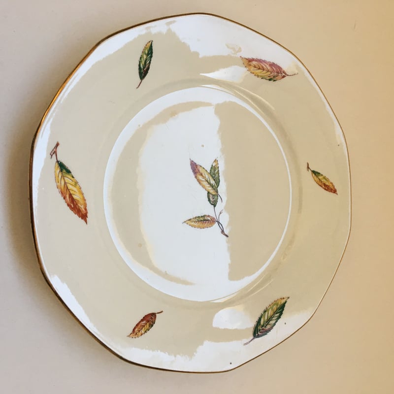 とりサルグミンヌ　ERABLE（メープル）シュクリエ　アンティーク　皿 フランス サルグミンヌ | アンティーク バルボティーヌ皿（鳥と