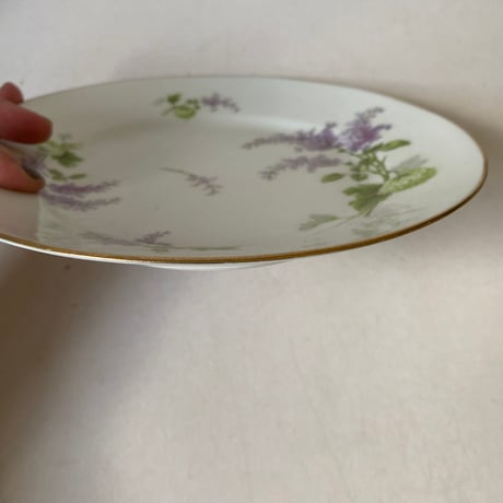 1900年代　リモージュ　J.B.T et cie 　ベルポー　デザート・プレート　リラとブール・ド・ネージュ柄　1−１２