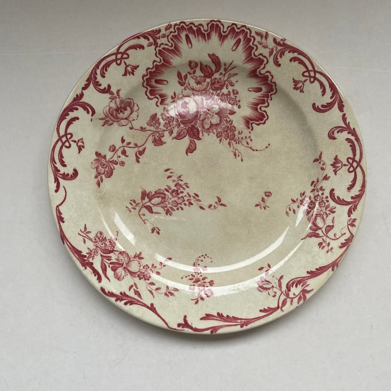 ヴィエイヤーボルドー ムスティエ ディナープレート H フランス