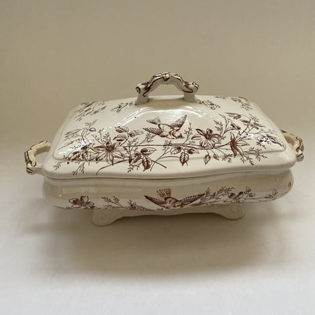 19世紀後半　イギリス製　WAA&Co    パックス　レギュミエ  レクタングル　（ソーサー付き）　小鳥と小花柄　ブラウン
