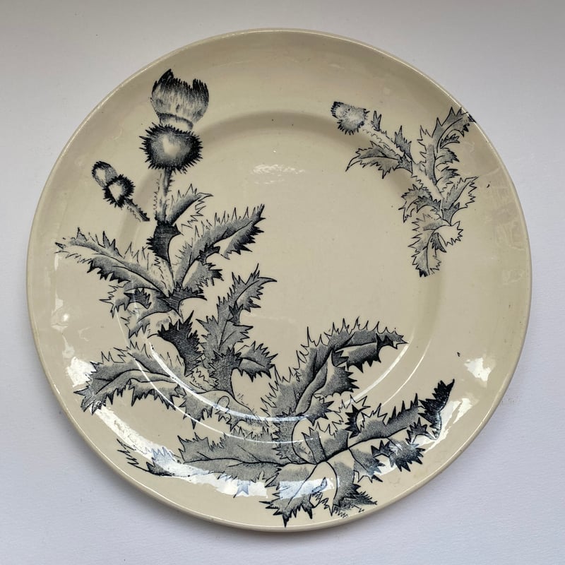 WEGWOOD白磁モチーフディナープレート4枚セット Wedgwood (ウェッジウッド) プレートセット 黒壷 英国製 27cm
