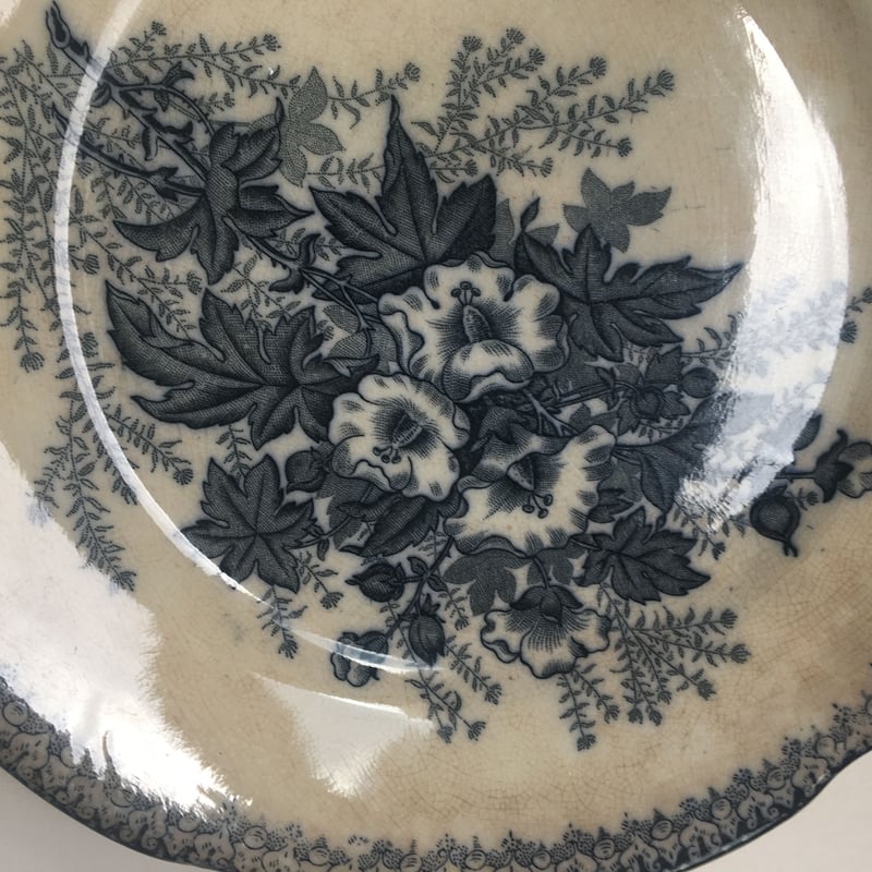 ニンフェンブルク 野菜絵 プレート アンティーク 19世紀末 24cm