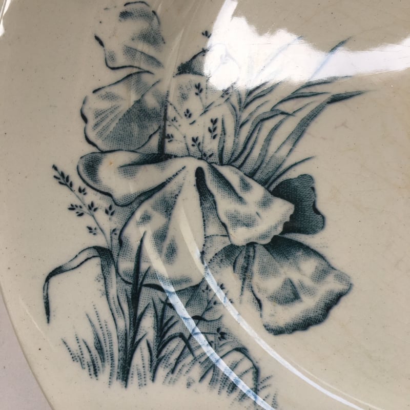 19世紀 マークなし ディナー・プレート 麦と野の花、トンボ柄 Aランク