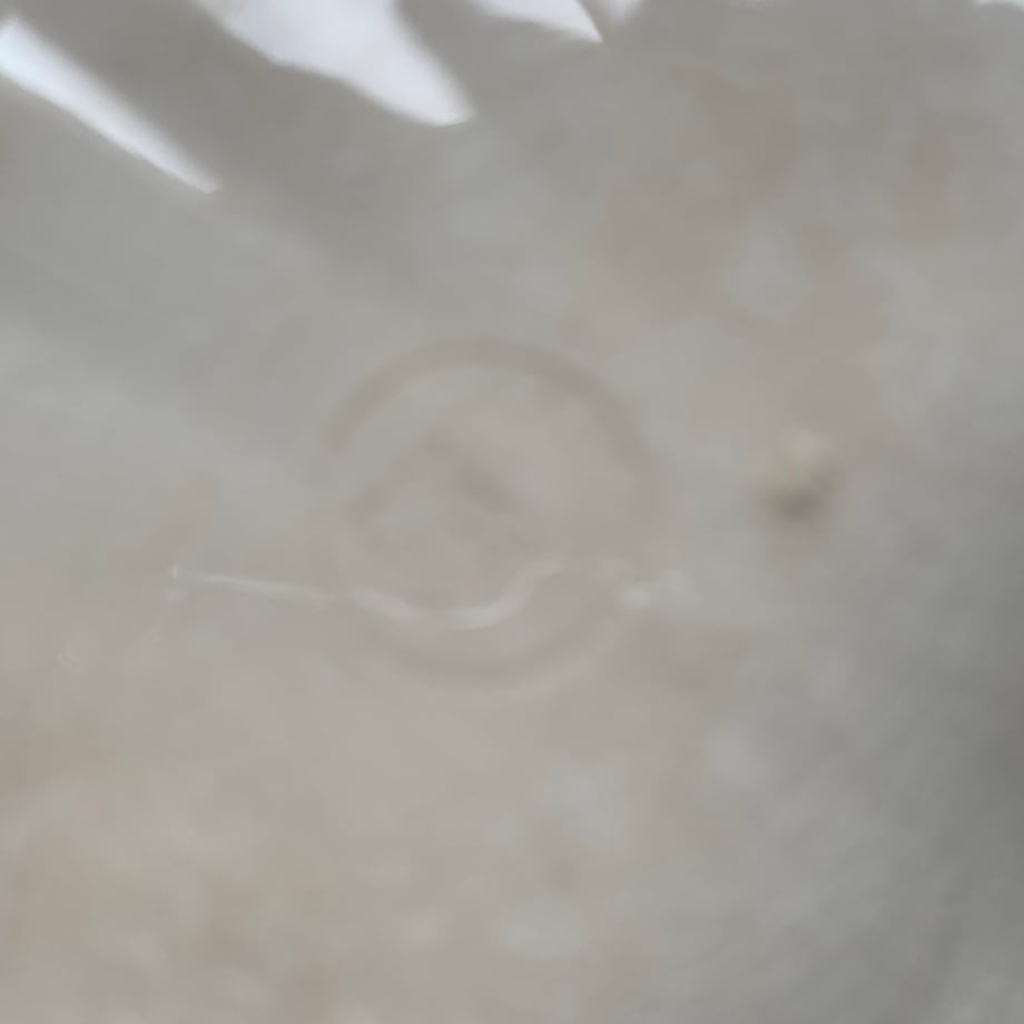 675d6d48380c3d4698121261
