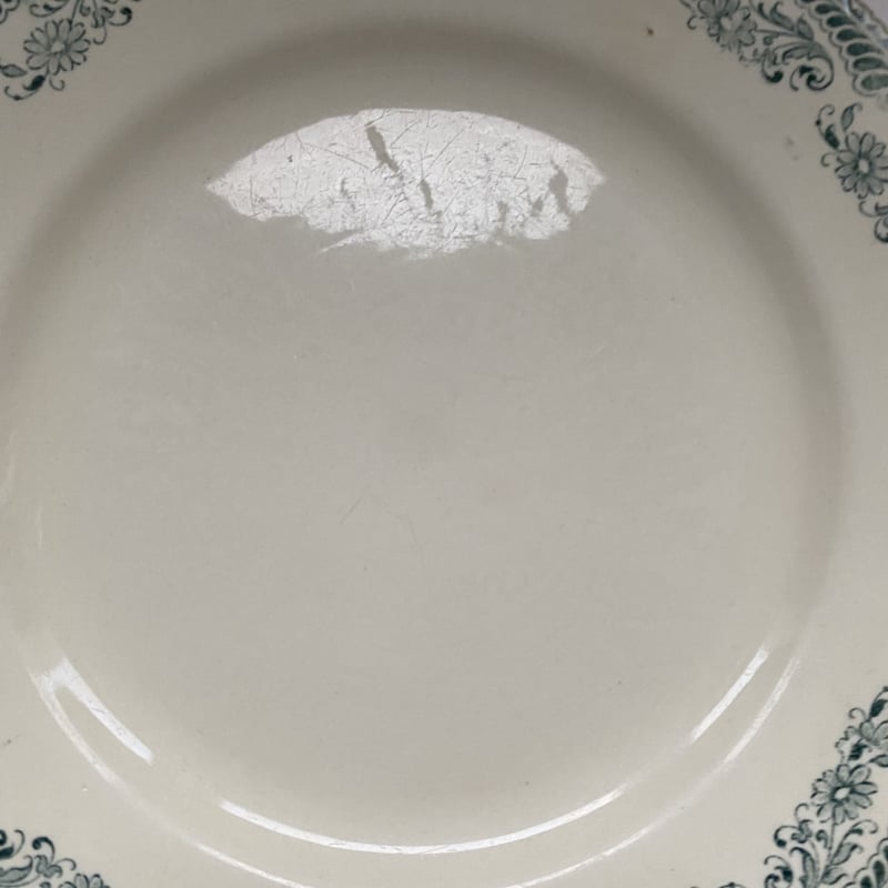19世紀 サラン ムスティエ ディナー・プレート 平皿24cm ひなぎく柄