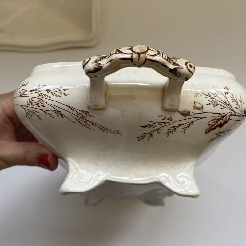 19世紀後半 イギリス製 WAA&Co パックス レギュミエ レクタングル