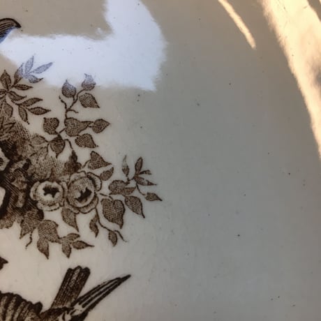 19世紀後半　ショワジー・ル・ロワ　スープ・プレート　オクトゴナル　ロカイユ　Aランク　１－３