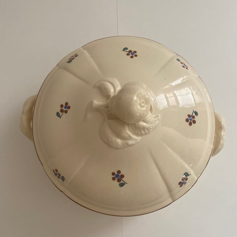 C 1920年代 サルグミンヌ レギュミエ アロマンシュ 小花柄 | campagne