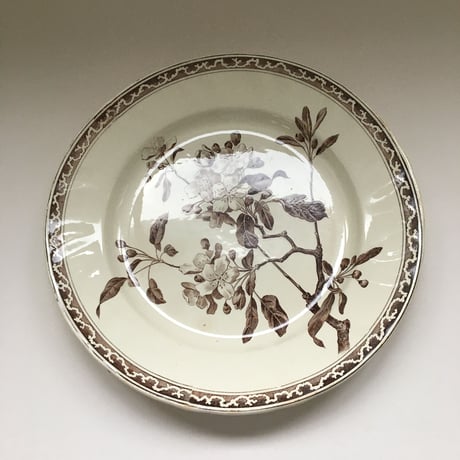 CATEGORY クレイユ・エ・モントロー | campagne à paris vintage