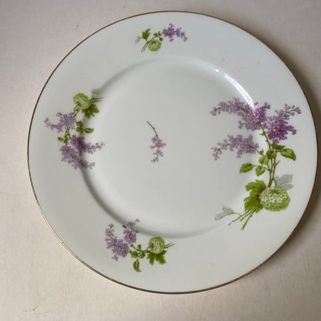 1900年代　リモージュ　J.B.T et cie　ベルポー　ディナー・プレート　リラとブール・ド・ネージュ柄　1−１２