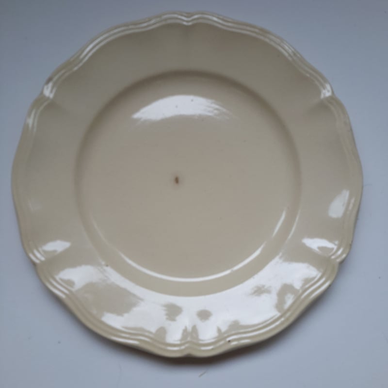  QUEEN'S PLAIN 花リムディナープレート6枚セット WEDGWOOD QUEEN'S PLAIN 花リムディナープレート6枚セット