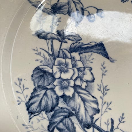 19世紀　サルグミンヌ　カルメン　ディナープレート　野の花と昆虫柄　１−２