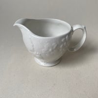 ２０世紀後半　バーレイ　デヴォンポート　ポタレ