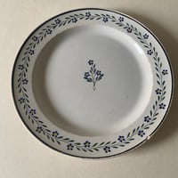 C 19世紀後半　ロンウィ？　マークなし　ディナー・プレート　ハンド・ペイント　小花柄