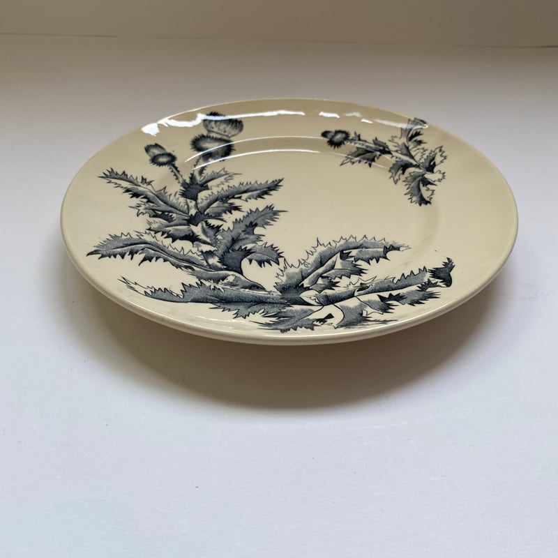 19世紀後半 ロンシャン シャルドン ディナープレート アザミ柄 1−4