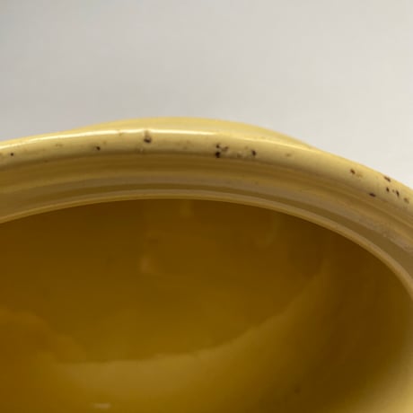 19世紀　サルグミンヌ　耐熱陶器　テリーヌ　ジョーヌ・イヴォワール
