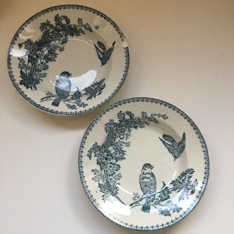 期間限定お値下げ　ロンウィ　Mésange(シジュウカラ)柄スープ皿 19世紀後半 ロンウィ メザンジュ スープ・プレート シジュウカラ柄 B
