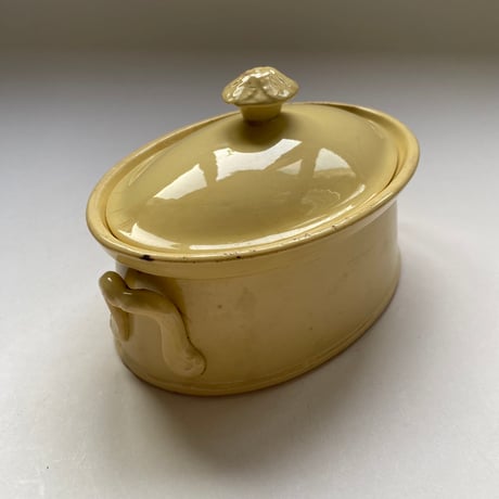 19世紀　サルグミンヌ　耐熱陶器　テリーヌ　ジョーヌ・イヴォワール