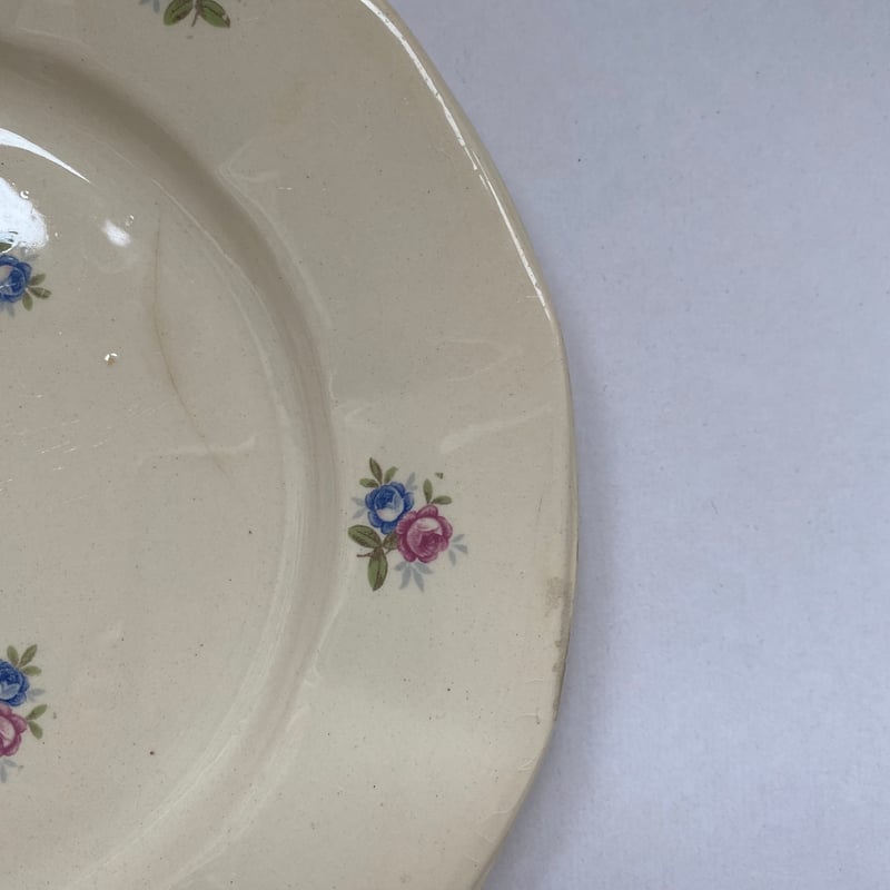 1920年代 ディゴワン・サルグミンヌ 9145 ディナープレート