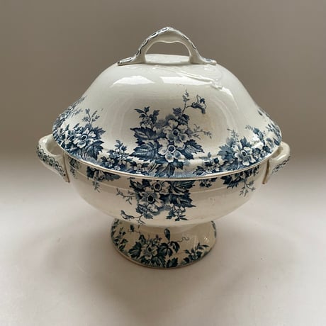 マリールイーズ | STORES