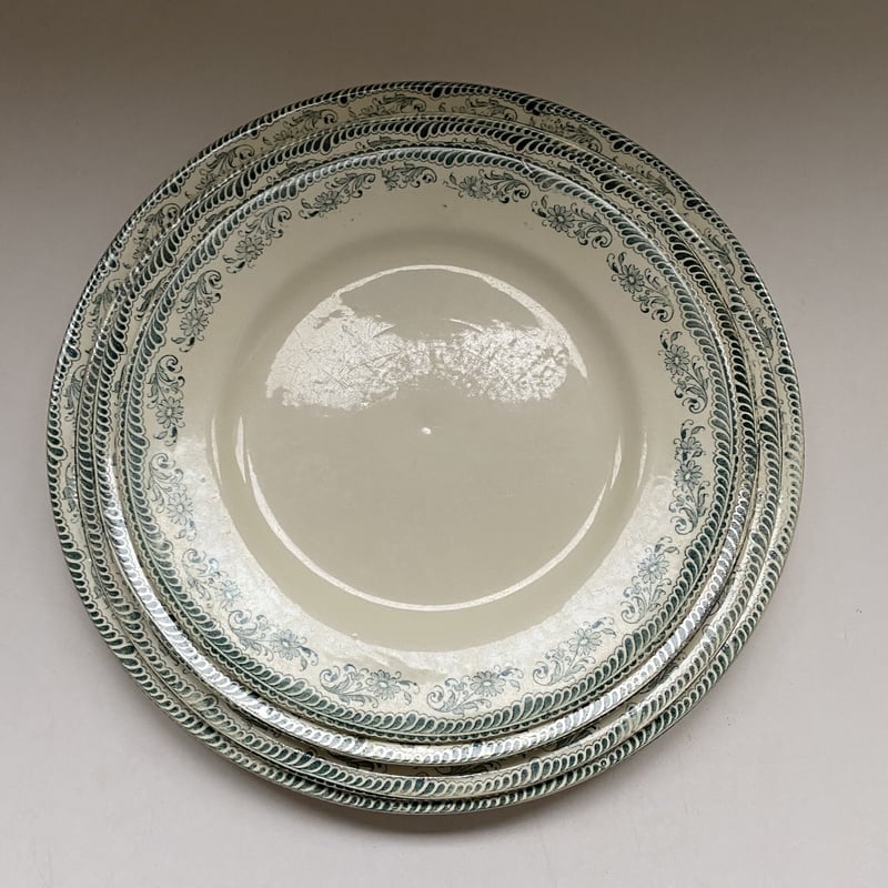 サラン　鳥がいる風景が素敵なディナープレート サラン 鳥がいる風景が素敵なディナープレート