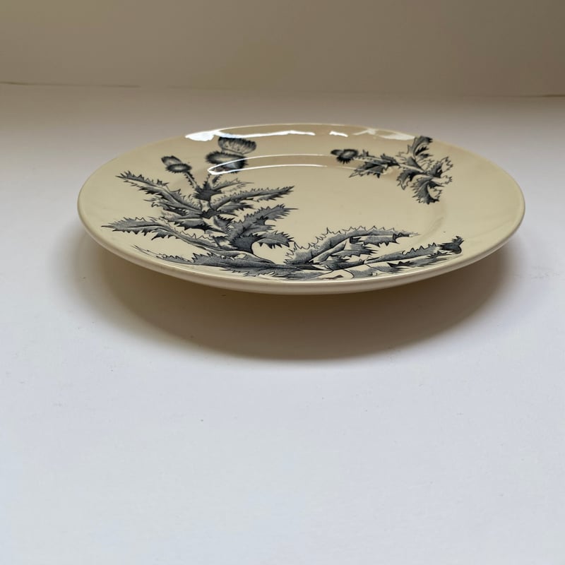 19世紀後半 ロンシャン シャルドン ディナープレート アザミ柄 1−4