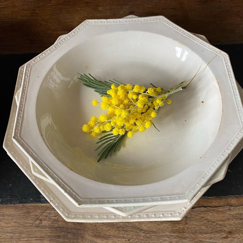 ガレ初期の本人作 ファイアンス フランスのガラス工芸家