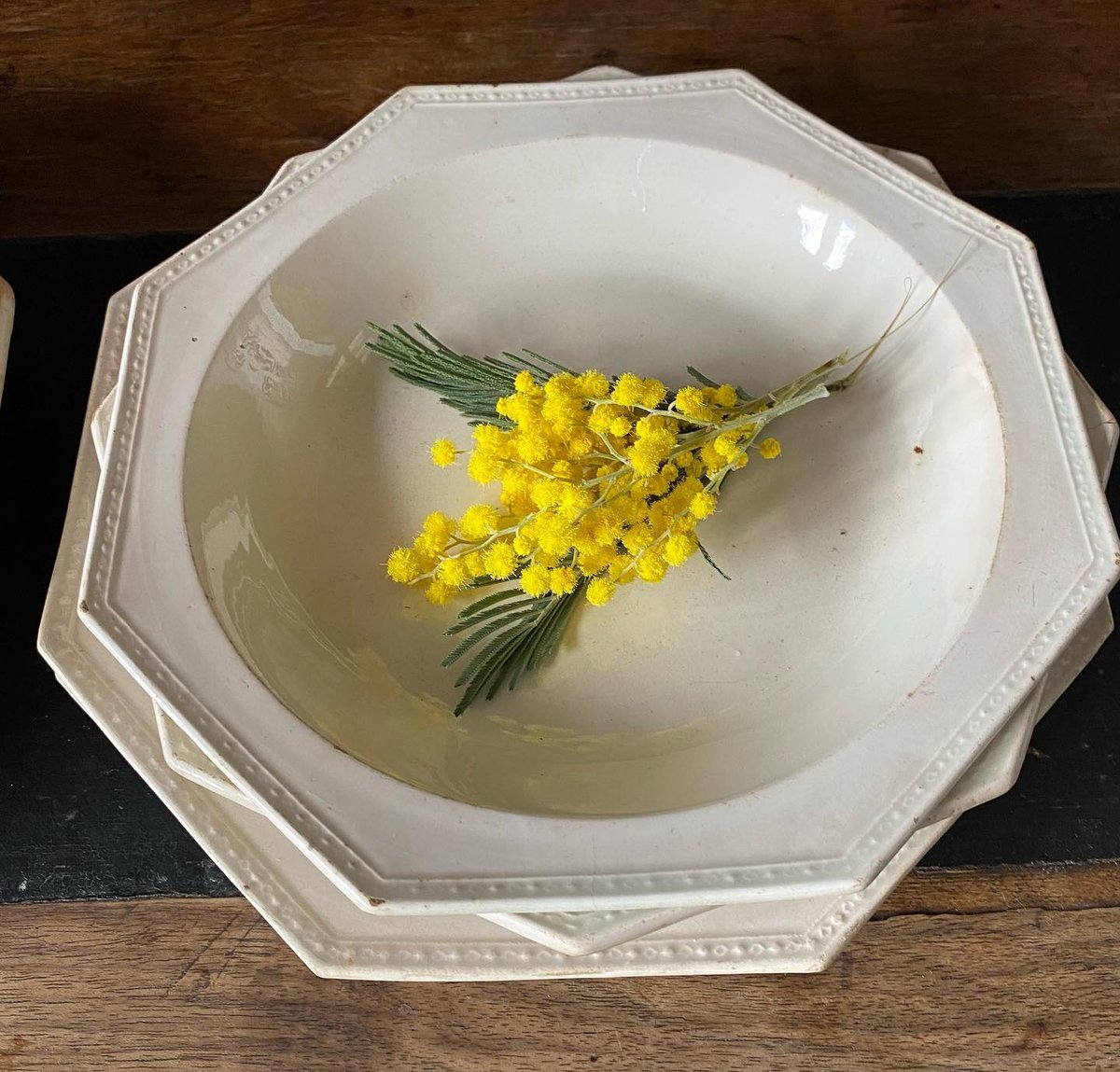 1890年代製 フランス クレールフォンテーヌ窯のポンパドゥールプレート33cm